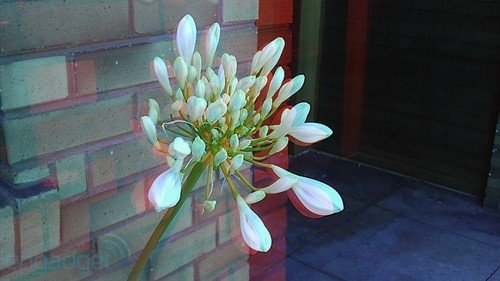 1.2GHz双核裸眼3D  HTC EVO 3D评测